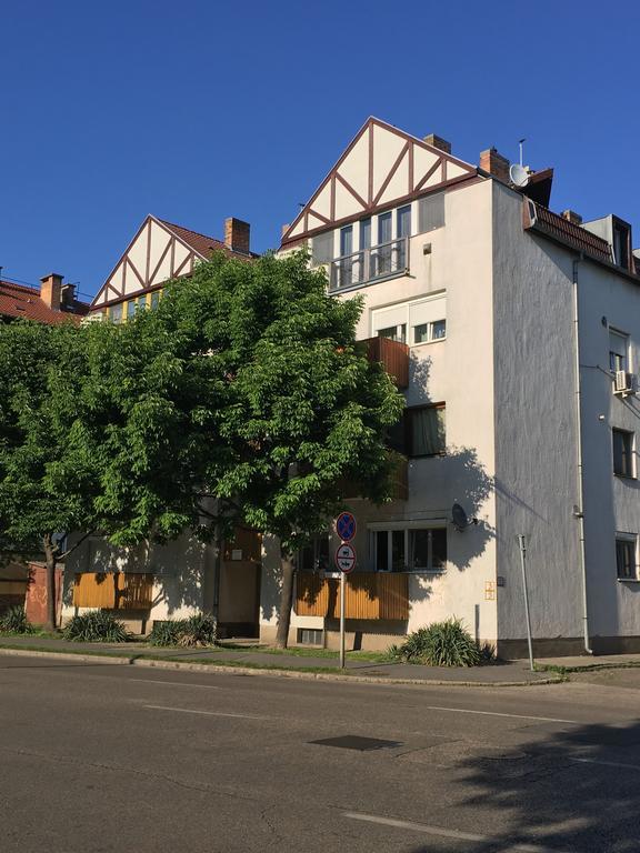 SzekszárdGrey Apartmanアパートメント エクステリア 写真